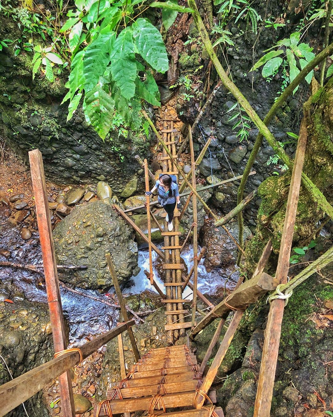 Aura Montoria Sabahnites Your Ultimate Sabah Guide