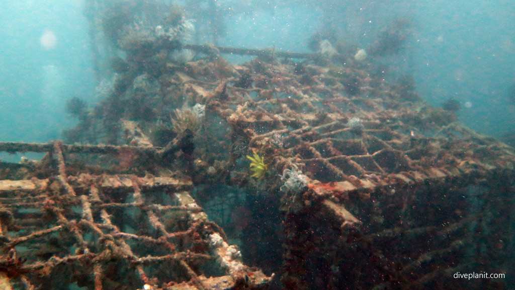 An Artificial Ocean Wonder Beneath Kapalai