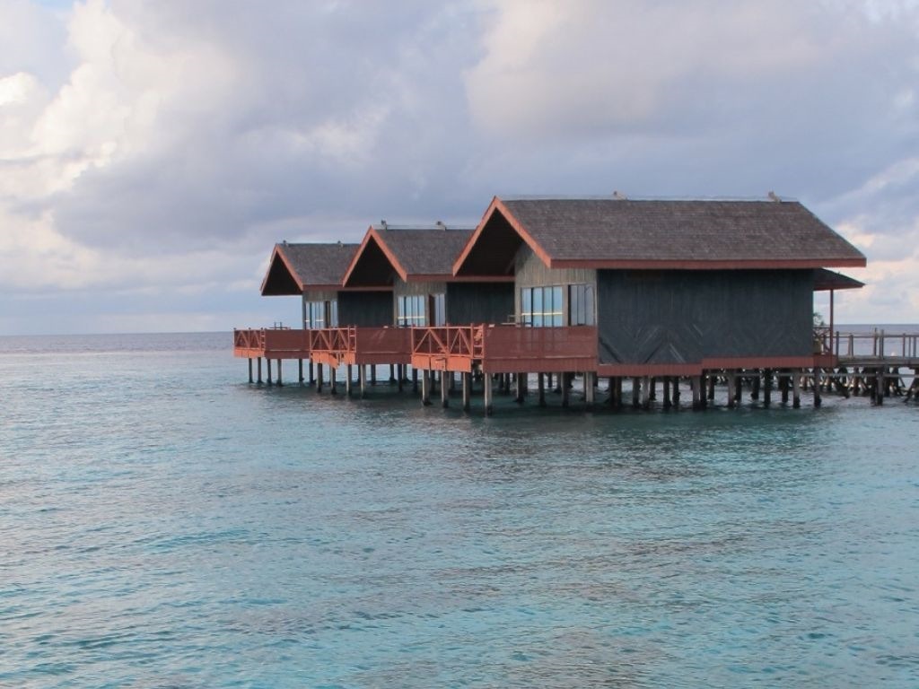 A Quiet Coral Getaway: Pom Pom Island