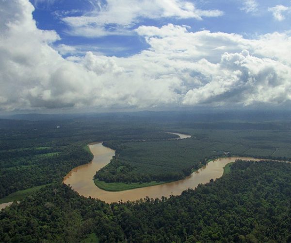 Kinabatangan, Sabah’s Living River of Wildlife