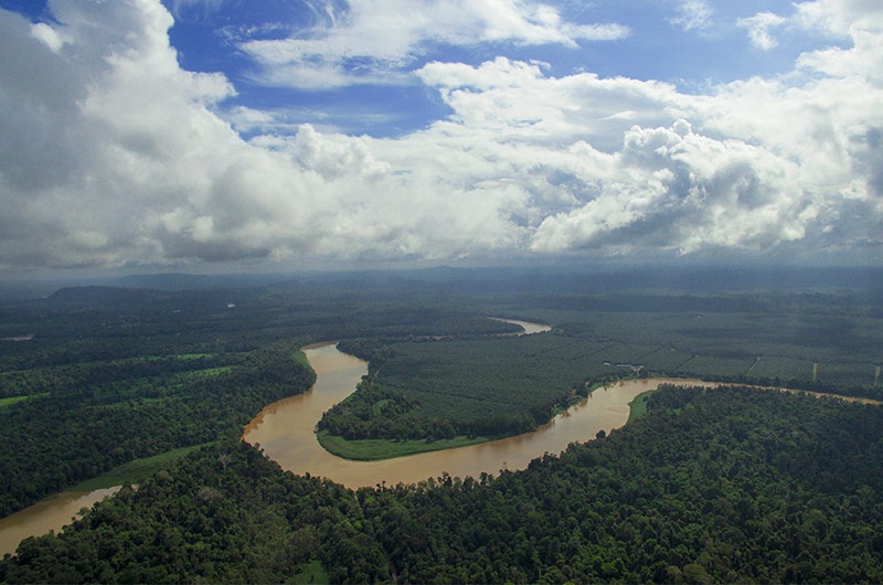 Kinabatangan, Sabah’s Living River of Wildlife